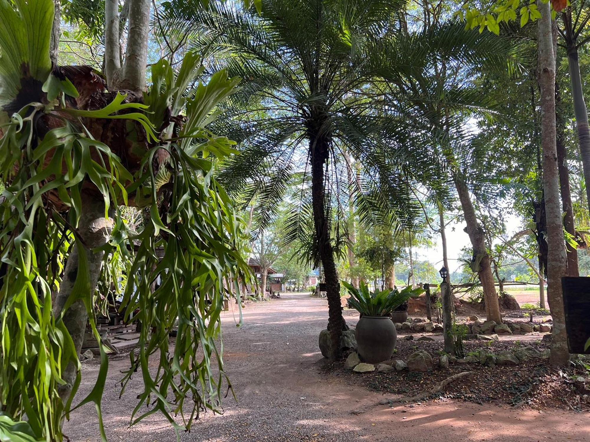 Pang Mai Resort Songkhla Zewnętrze zdjęcie