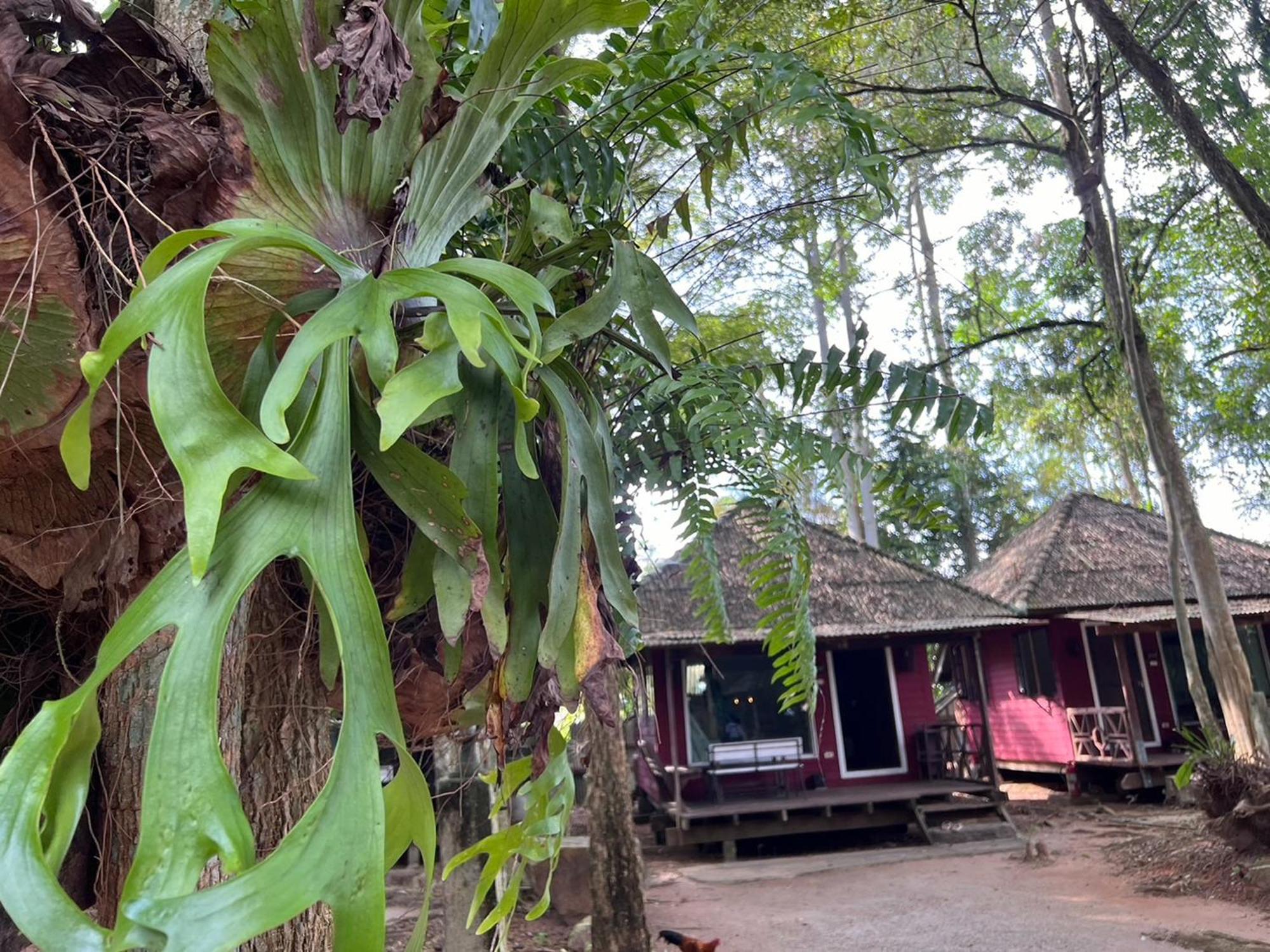 Pang Mai Resort Songkhla Zewnętrze zdjęcie