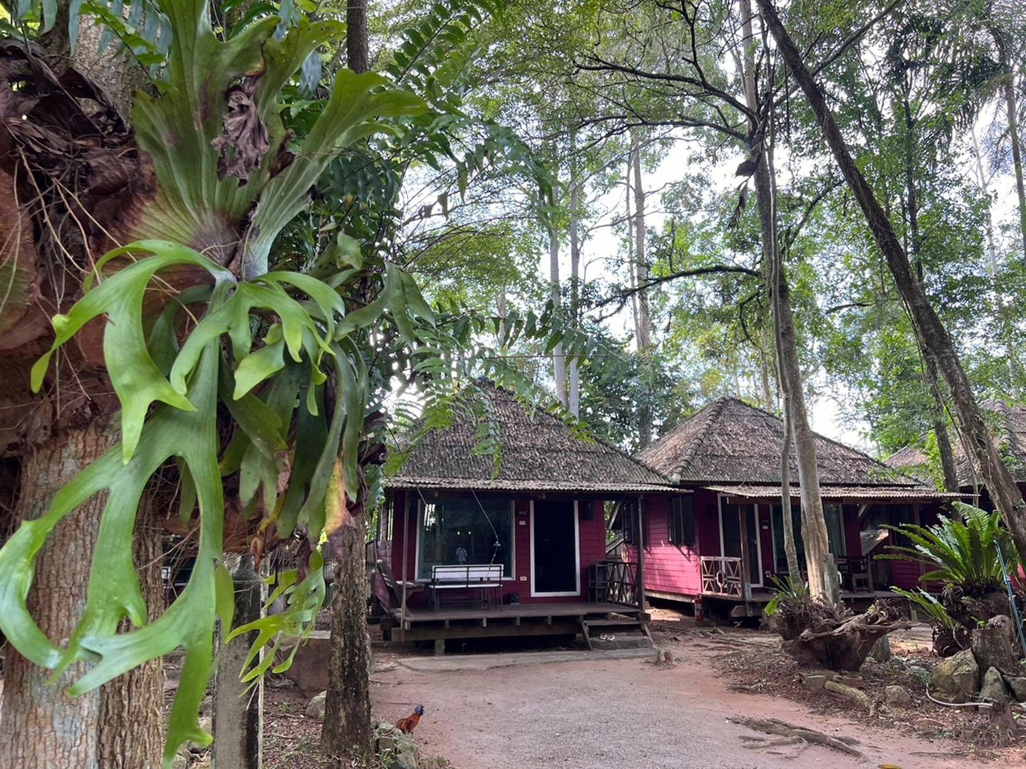 Pang Mai Resort Songkhla Zewnętrze zdjęcie