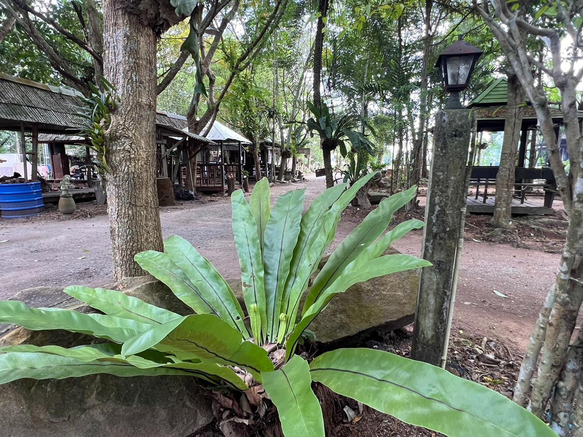 Pang Mai Resort Songkhla Zewnętrze zdjęcie